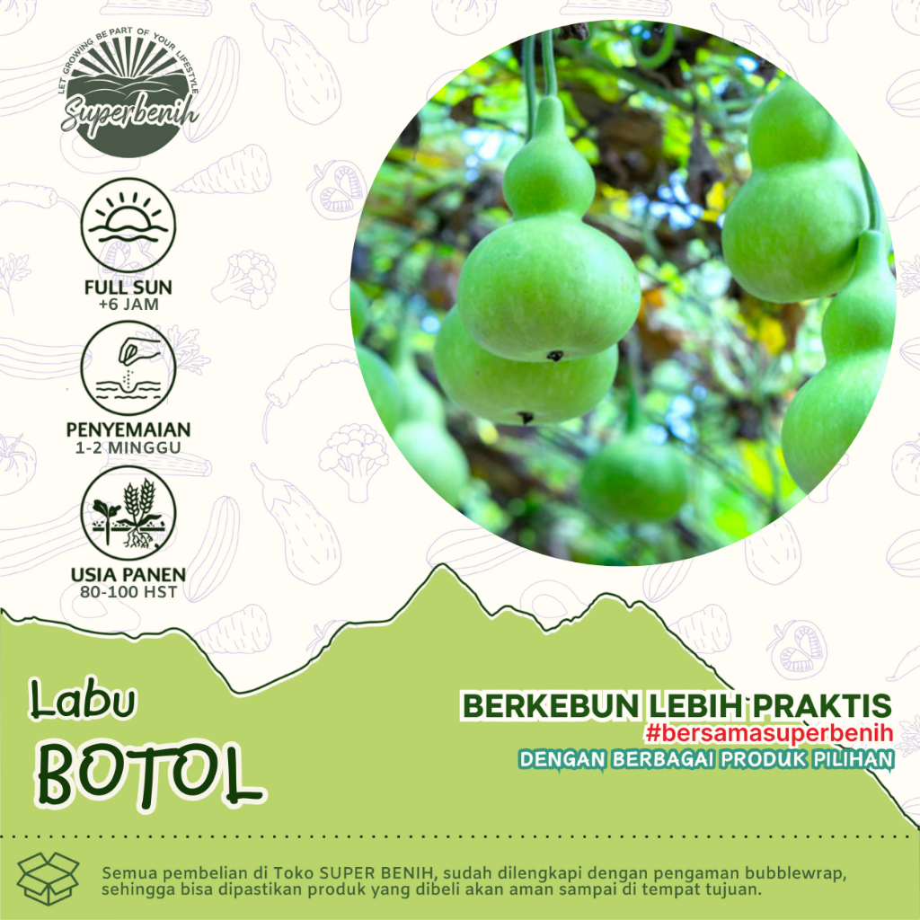 3 Biji - Benih Labu BOTOL, labu unik mirip kendi