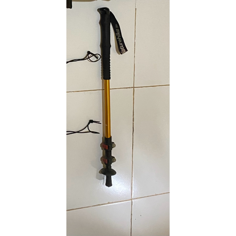 trekking pole second