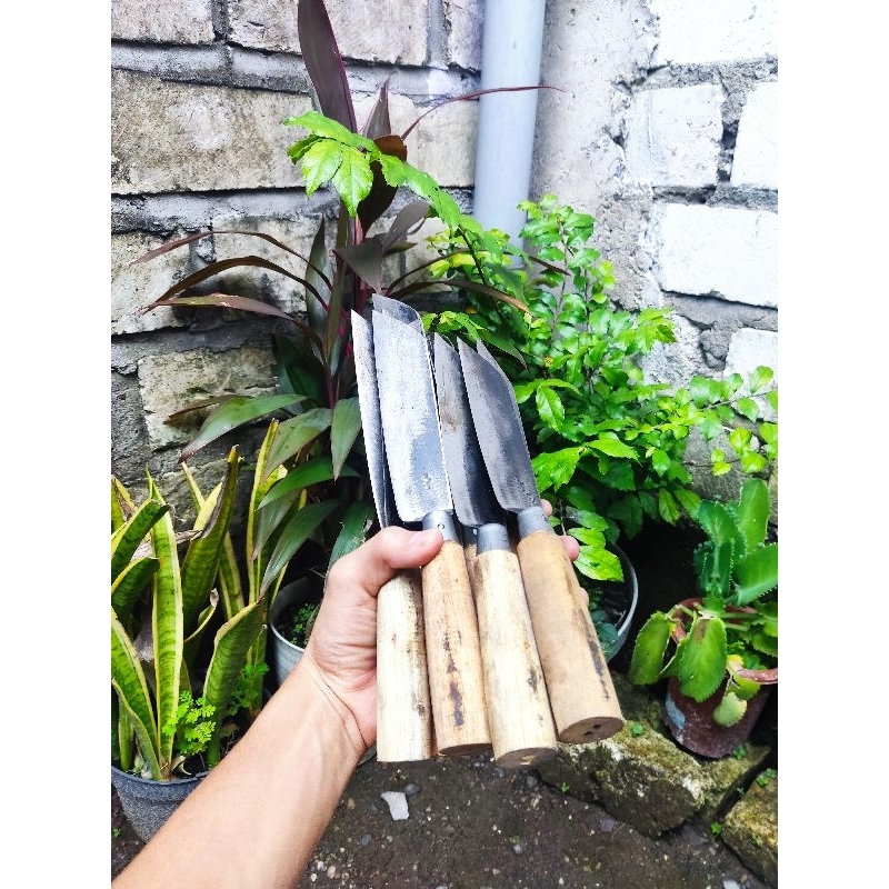 (PAKET 10 PCS) PISAU TGR DAPUR BAJA STRIP TIPIS PISAU BUAH SAYUR DAGING