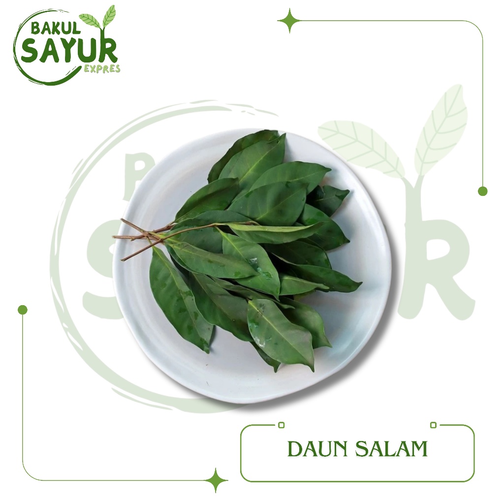 

Daun Salam Segar Per Ikat | Bakul Sayur Expres