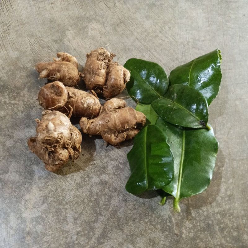 

kencur 100 gram
