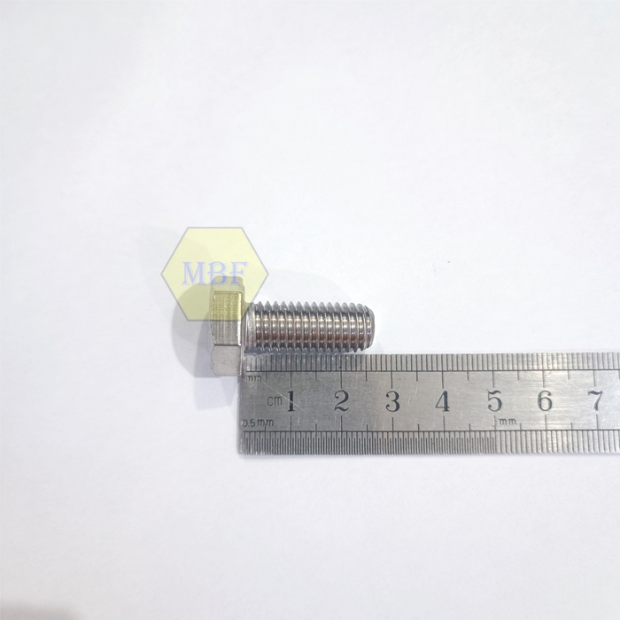 M10 x 25 Baut Hexagon Stainless 304 M10x25