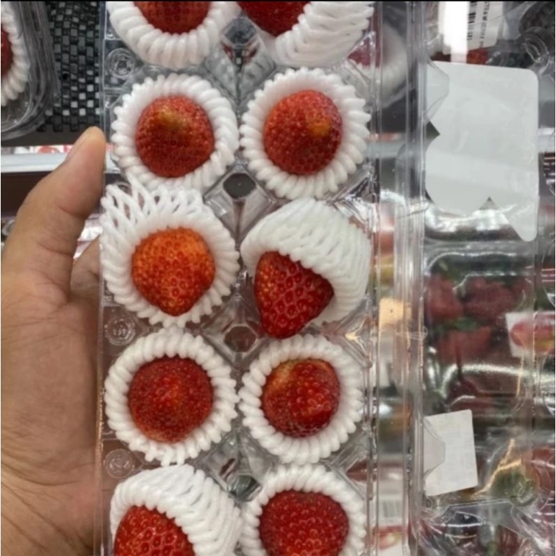 

Strawberry Bibit Jepang Kajitsu 1 Pack 125 Grm