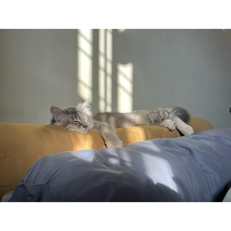 

PAKET C Oleh oleh Umroh & Haji Murah/ Oleh oleh umroh grosir