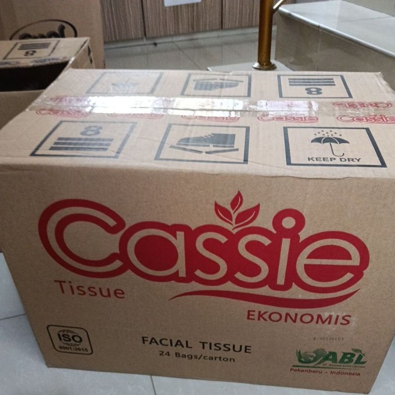 [1karton] tissue Cassie ekonomis