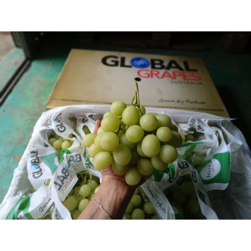 

ANGGUR HIJAU SEDLEES