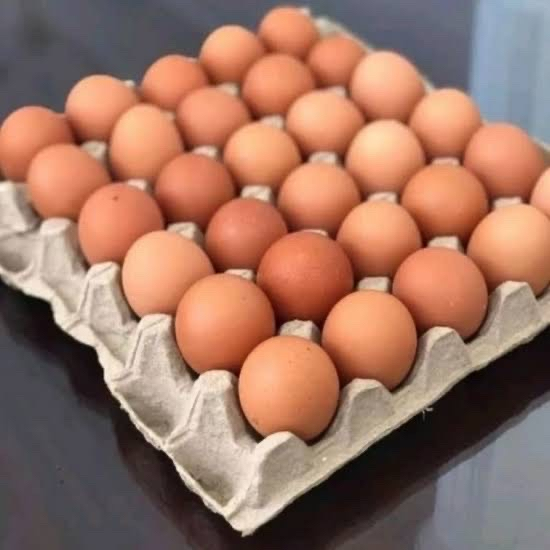 

Telur Ayam Grade A Bersih & Segar - 1 Piring (30 Butir)