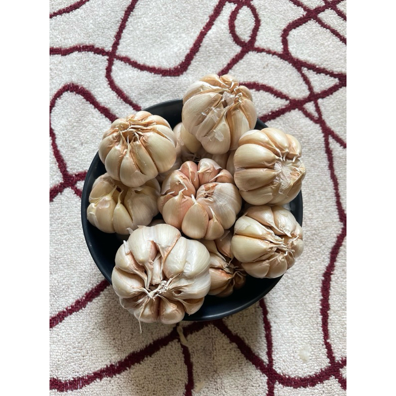 

BAWANG PUTIH MURAH