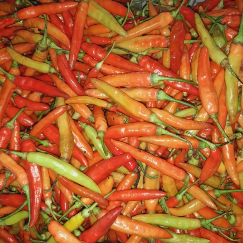 

cabai /Cabe rawit merah 1kg