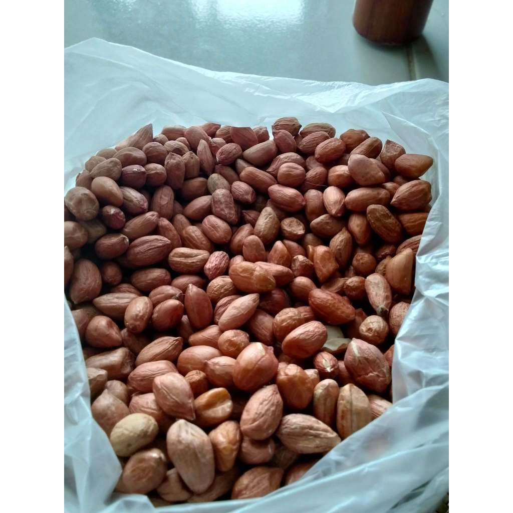 

kacang tanah kupas 1/2 kg dan 1 kg