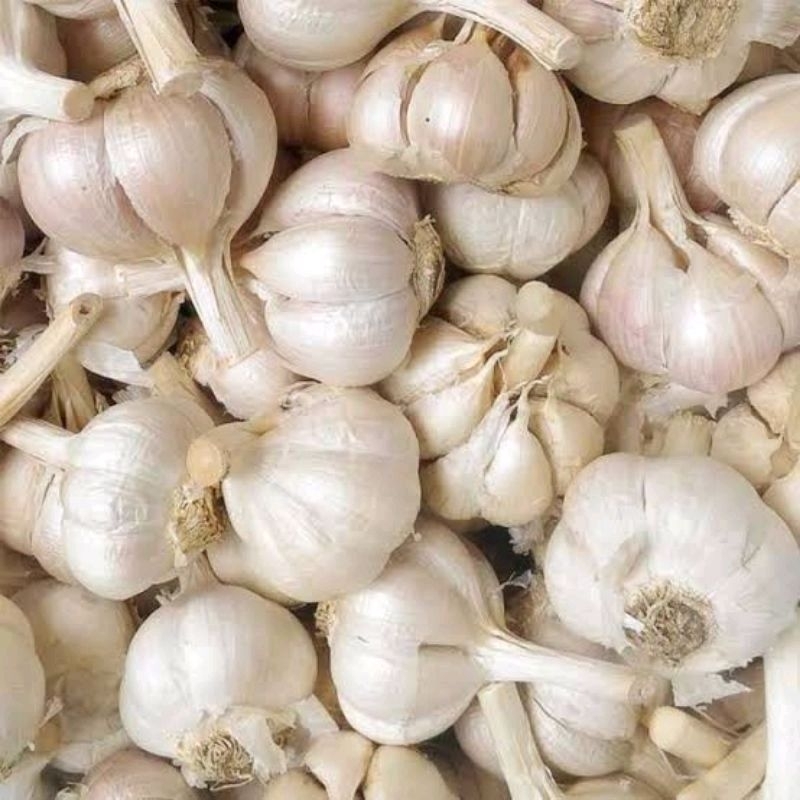 

bawang putih kating super besar 1 kg bersih
