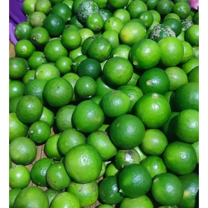 

JERUK NIPIS HARGA GROSIR 1 KG