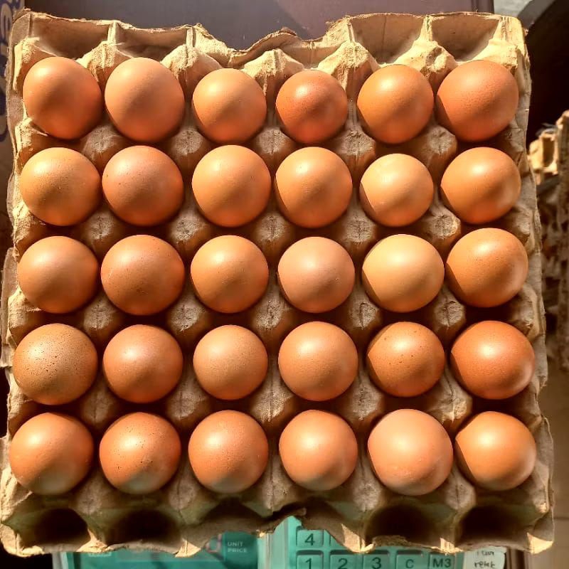 

TELUR AYAM NEGERI FRESH STOK TERBARU 1KG