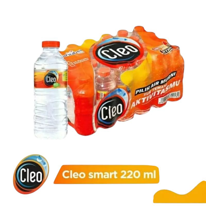 

Air mineral Cleo 220 ml × 24 botol