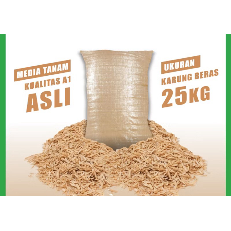Sekam Mentah Untuk Media Tanam Sekam mentah 1 karung brambut sekam padi karungan