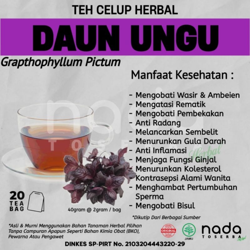 

Teh Celup Herbal DAUN UNGU / HANDELEUM Isi 20 Tea Bag | Herbal Hemoroid, Wasir & Ambeien | Grapthophyllum Pictum