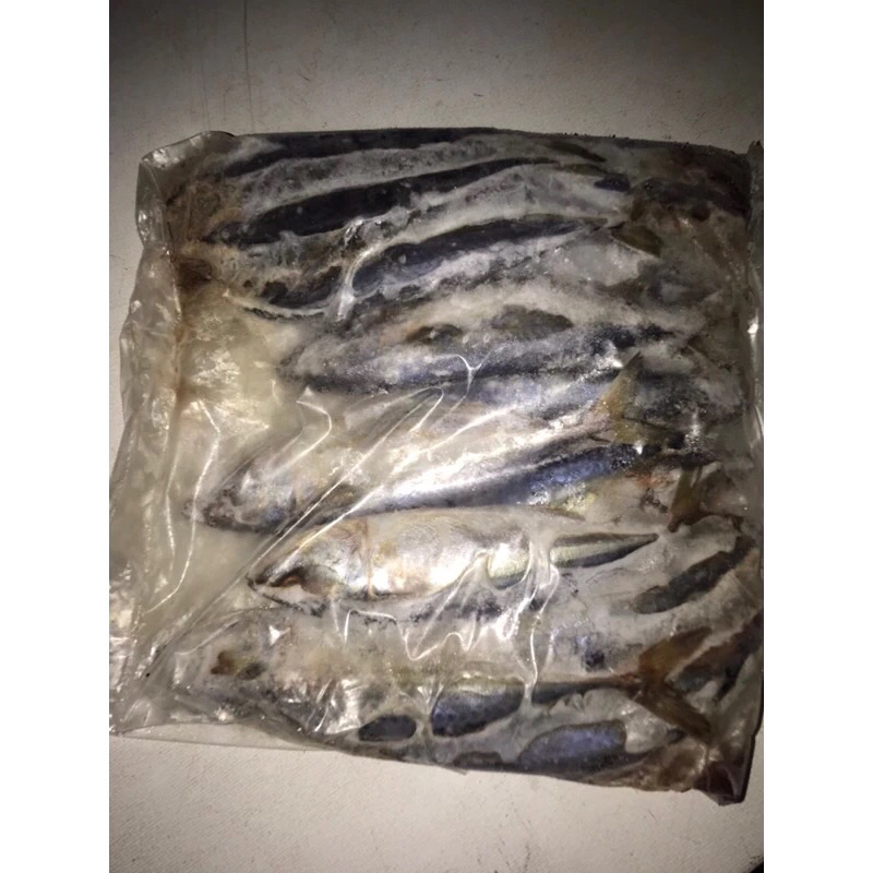 

Ikan Layang Fresh Frozen Segar 1Kg BERGARANSI