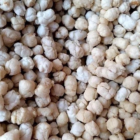 

Pilus Tiktak Cikur Gurih Renyah 250gr / Tictak Original