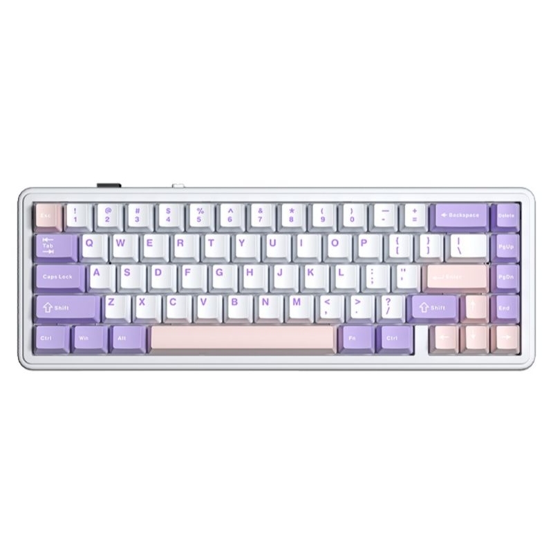 Aula F65 Keycaps 67 Keys Purple Pink Mechanical Keyboard 65% Keycaps [KEYCAPS ONLY]