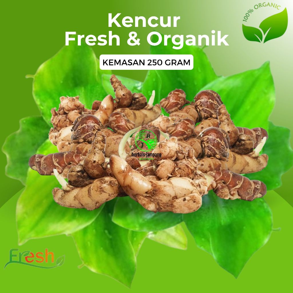 

kencur segar organik kemasan 250 gram dan 1 kilogram