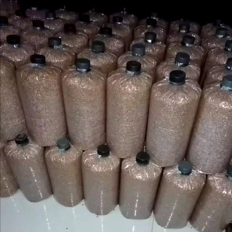 

baglog jamur tiram