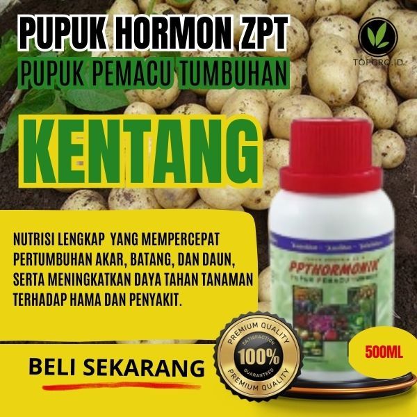 Pupuk Pembesar Umbi Kentang / ZPT Umbi / Pemacu Tanaman Kentang / ZPT Premium Asli / Pembesar Umbi
