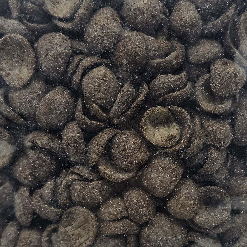 

CHOCO CRUNCH DUO