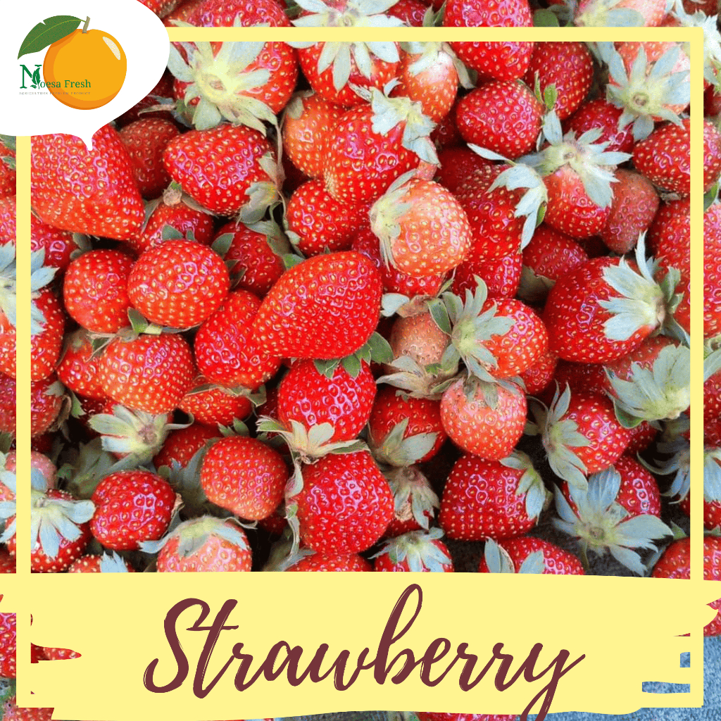 

Strawberry Fresh Lokal Batu 1kg Manis