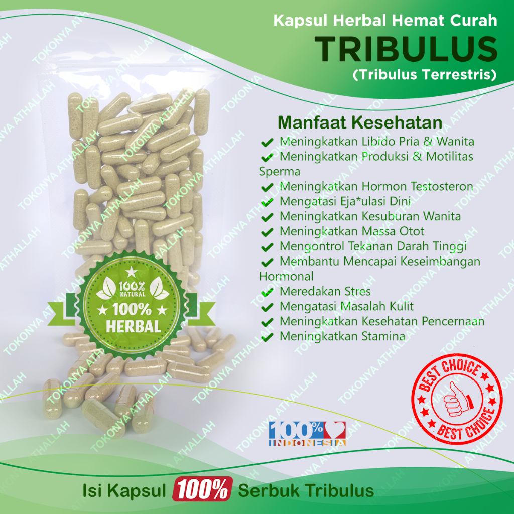 Kapsul TRIBULUS Herbal Hemat Curah Aphrodisiac Stamina Hipertensi