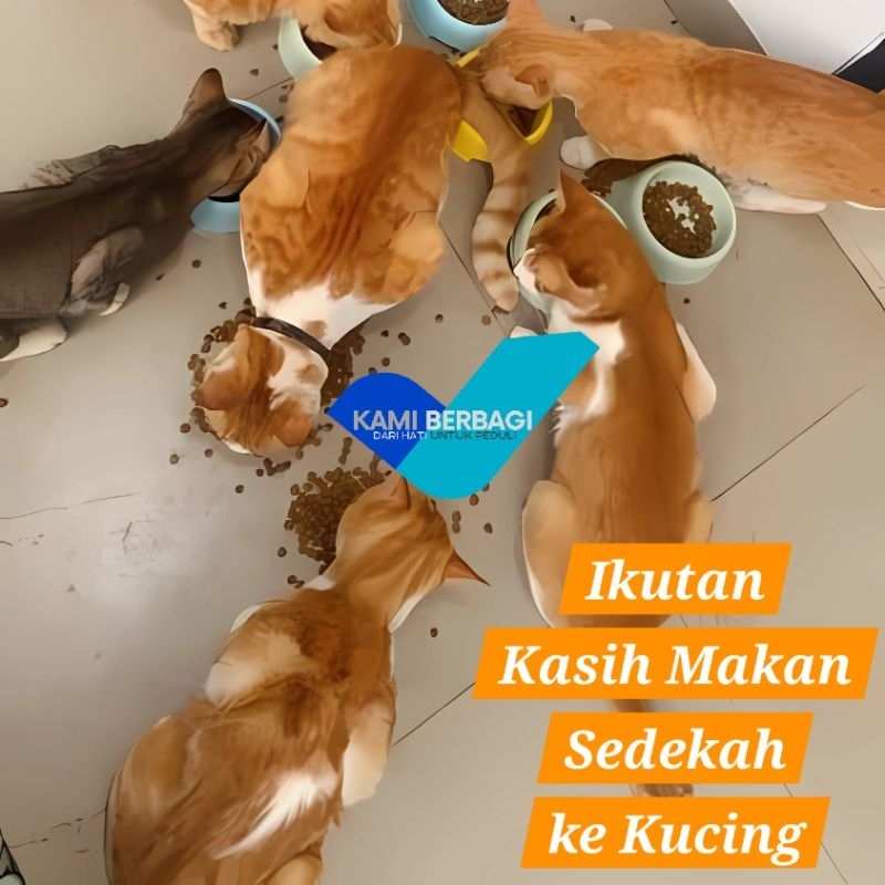 Bagi yg Mau Ikutan Kasih Makan Kucing/Anjing (Anabul) Peduli dalam Upaya Menjaga Mereka (Mohon deskripsi kami dibaca ya)