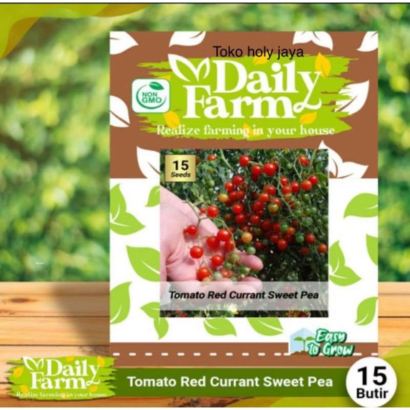 DF benih TOMATO RED CURRANT SWEET PEA 15 butir biji tomat ceri merah mini cherry import daily farm
