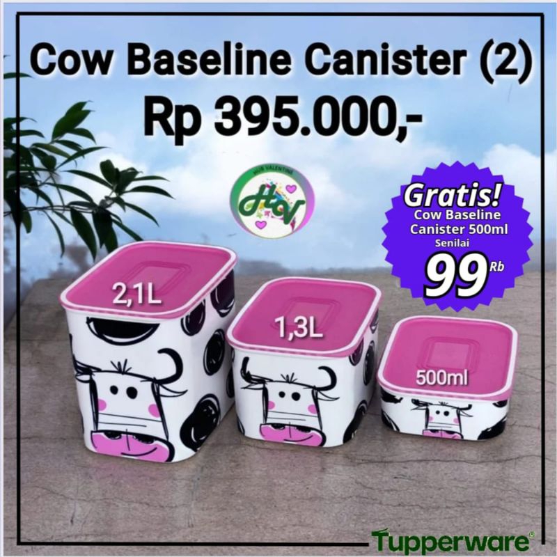 Tupperware Cow Baseline Canister (3pcs) Limited Edition / Wadah penyimpanan
