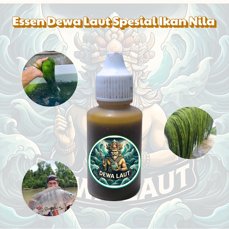 Essen Oplosan DEWA LAUT spesialis media lumut target ikan nila