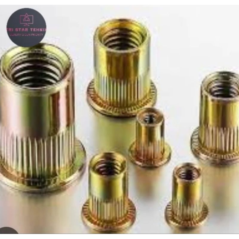 Mur Rivet nut M3 besi kuning rivet nut M3 stainless rivet nut M3 bibir tipis