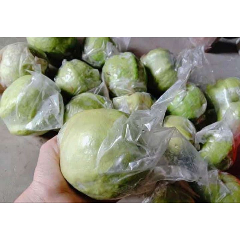 

Jambu Kristal 1kg