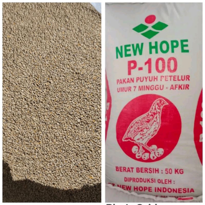 P-100 new hope pakan puyuh bertelur puyuh petelur 1kg