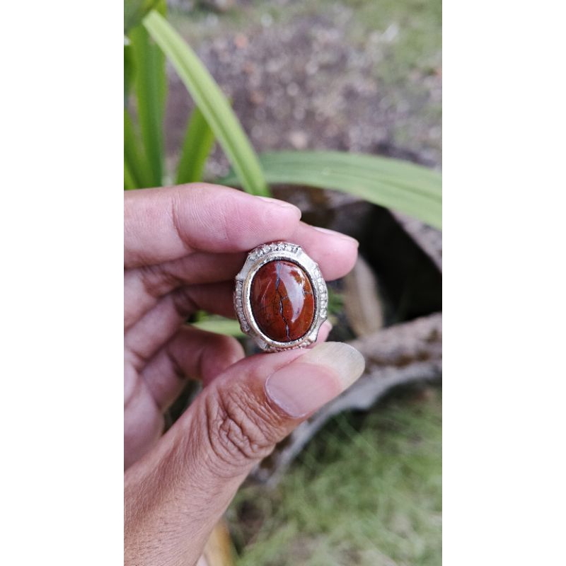 Natural tapak jalak ati ayam