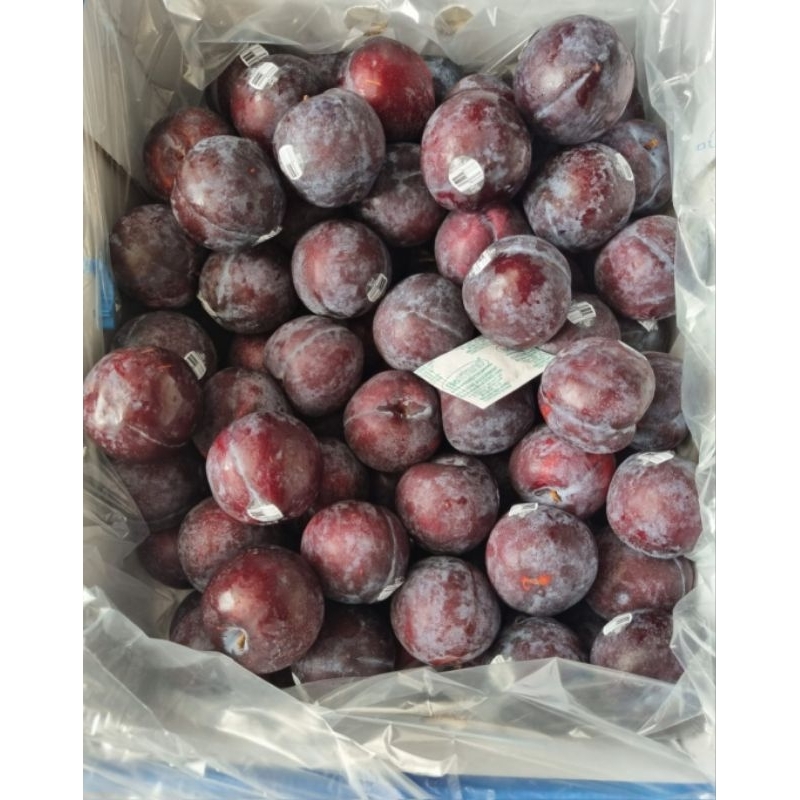 

Buah Plum Black Angelino | Plum Black Import 1 Kg