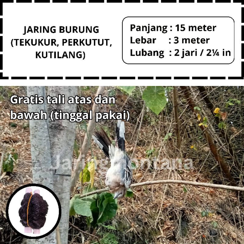 PIKAT BURUNG TEKUKUR 15x3 METER SIAP PAKAI WARNA HITAM PIKAT JEBAKAN BURUNG