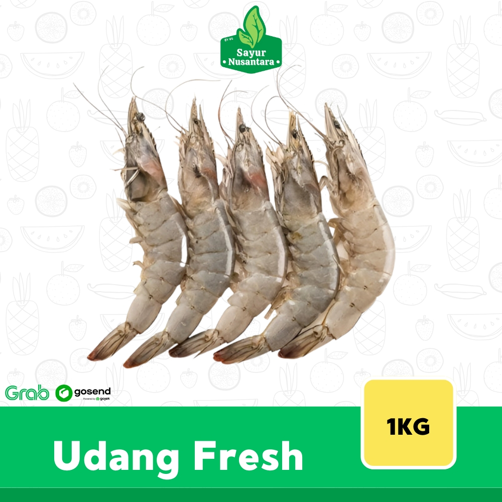 

Udang Fresh 1KG - Sayur Nusantara