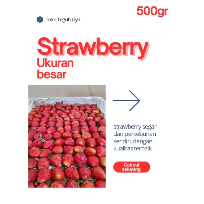 

strawberry ukuran besar 500g |strawberry murah