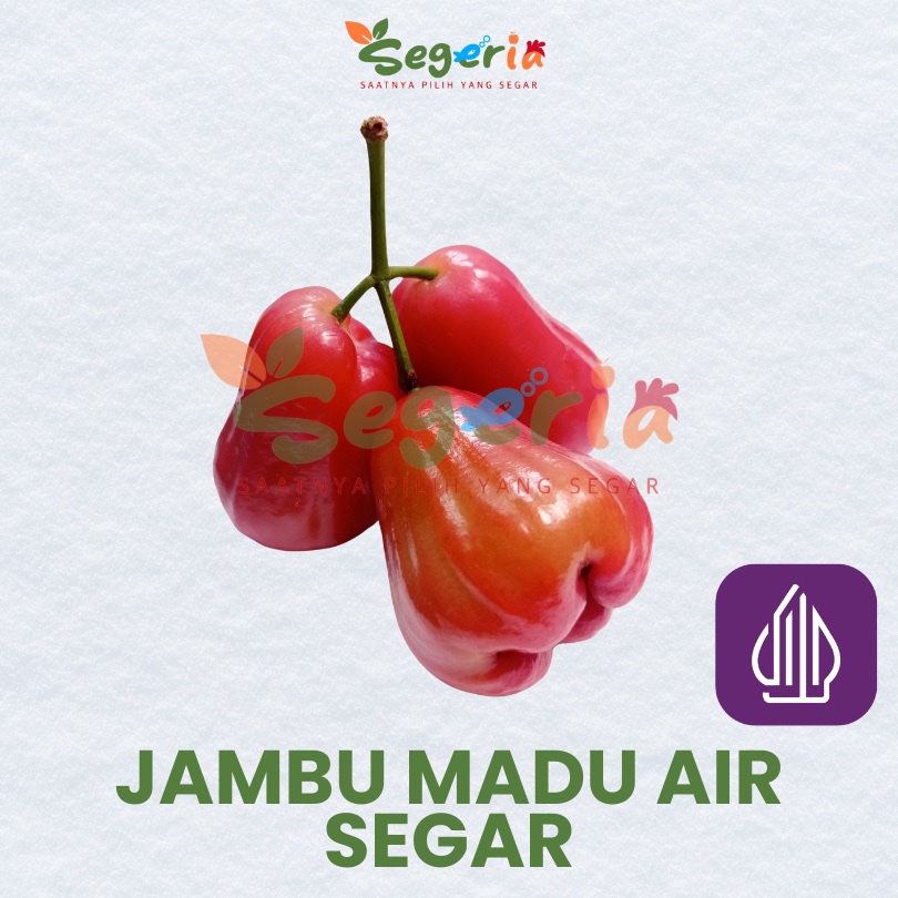 

BUAH JAMBU MADU AIR SEGAR