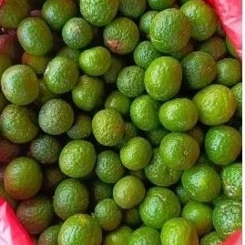 

jeruk limo 1 kg