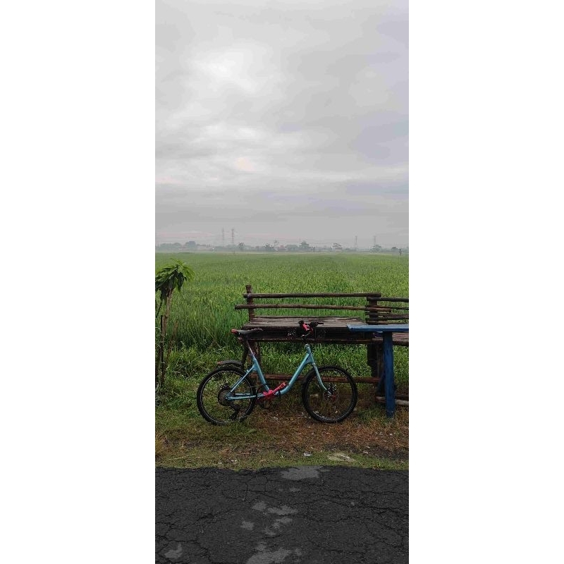 Sepeda Minion custom full upgrade preloved