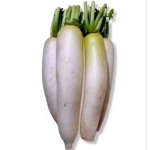 

lobak fresh 1 kg
