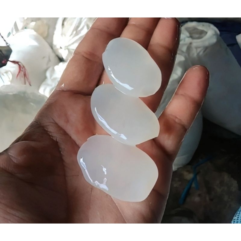 

Kolang Kaling fresh biji besar 1kg/Kolang Kaling fresh segar