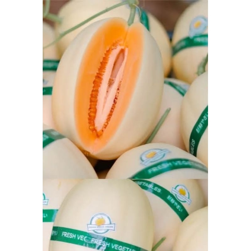

MELON KIRANI HIDROPONIK 800GR-1KG