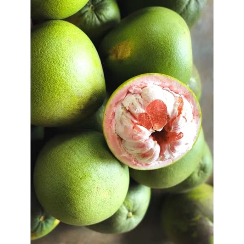 

JERUK PAMELO MADU UKURAN 1,9 kg - 2KG