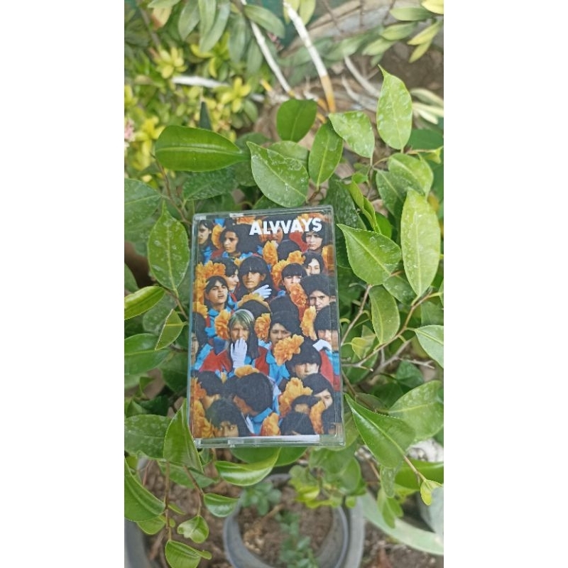 Kaset Pita Alvvays