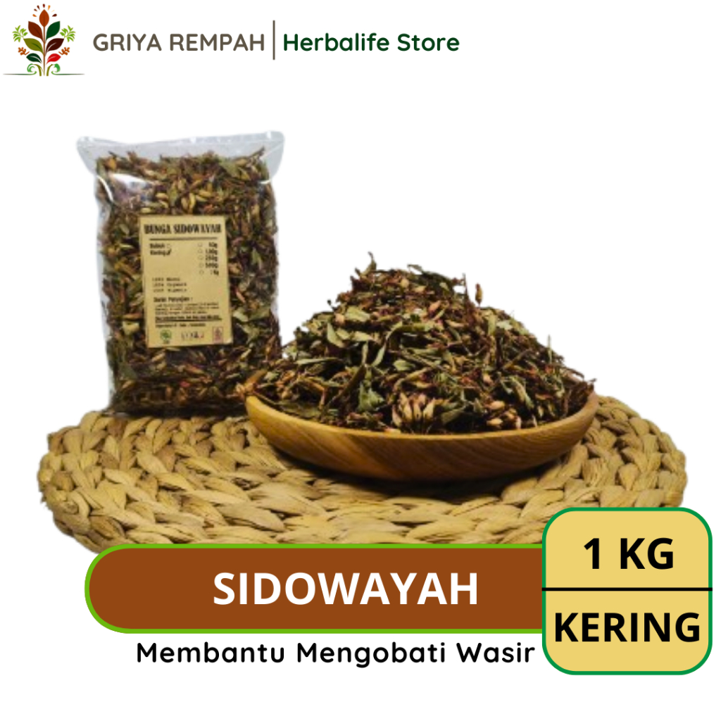 

BUNGA SIDOWAYAH KERING 1 KG Kembang Dhubaya Rempah Herbal Simplisia Alami untuk Kesehatan & Ramuan Jamu Tradisional Woodfordia fruticosa